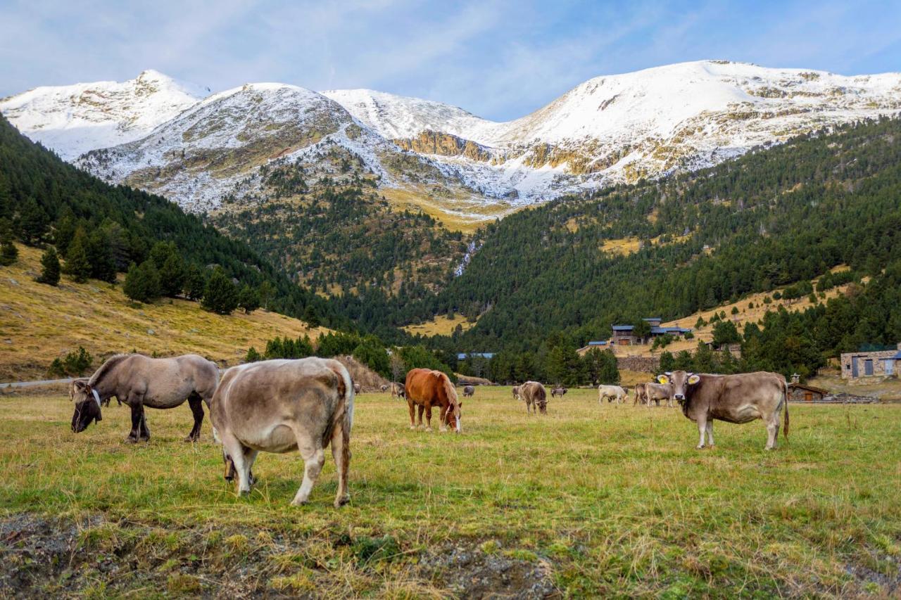R Valle De Incles-Grandvalira Free Parking Canillo Esterno foto